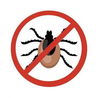 Защита от клещей: как уберечь себя от потенциально опасных насекомых