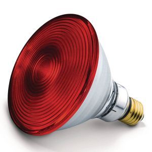 Лампочка до інфрачервоної лампи Beurer IL 21, 150 W