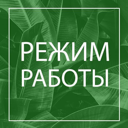 Наш режим работы на 17 июня